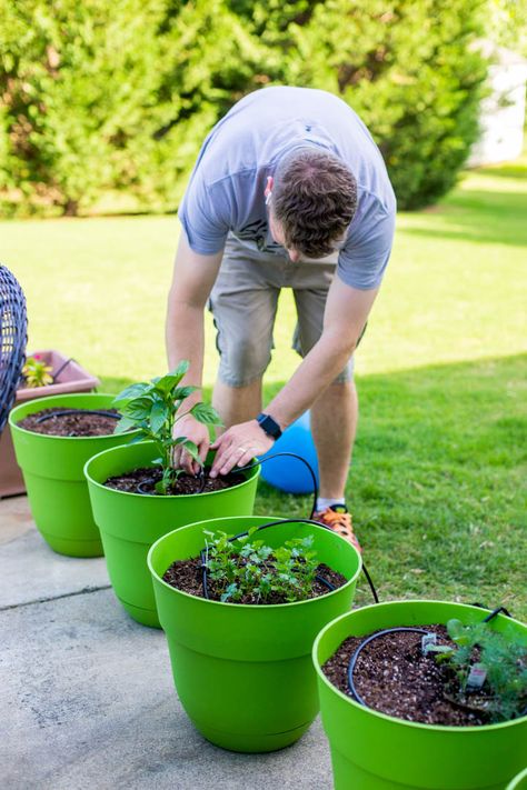 Growing Cut Flowers In Pots, Cut Flower Garden In Containers, Growing Cut Flowers In Containers, How To Grow Flowers For Bouquets, Cut Flower Garden In Pots, Flower Pots In Flower Beds, Container Cut Flower Garden, Cut Flower Container Garden, Cut Flowers In Pots