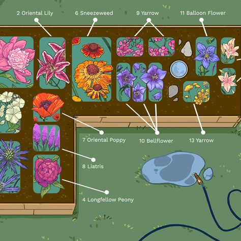 Small Cut Flower Garden Layout, Meadow Photoshoot, Cut Flower Garden Layout, Farm View, Flower Garden Layouts, Flower Garden Plans, Florida Garden, Garden Flowers Perennials, Perennial Flower