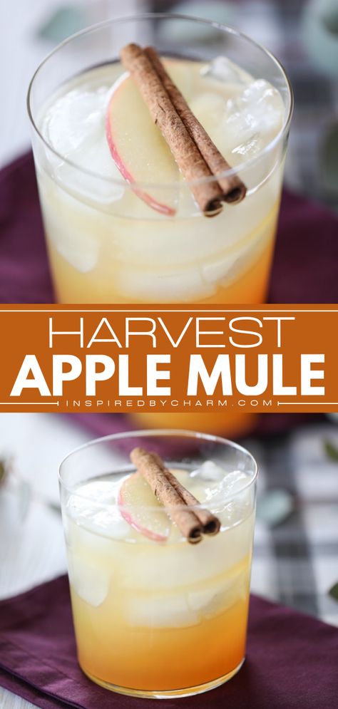 The perfect fall alcoholic drink for a party! With a combo of Moscow Mule plus apple cider, this easy Thanksgiving cocktail is delicious and refreshing. Save this harvest apple mule recipe and try it! Fall Moscow Mule Pitcher Recipe, Thanksgiving Mule Recipe, Apple Mule Recipe, Moscow Mule Pitcher Recipe, Thanksgiving Cocktails Pitcher, Thanksgiving Mule, Fall Alcoholic Drinks Easy, Fall Moscow Mule, Mule Drink Recipes