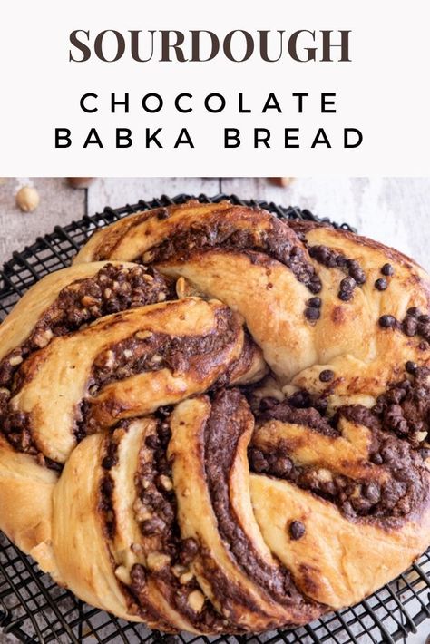 Babka bread on a wire rack. Homemade Cheese Danish Recipe, Chocolate Babka Bread, Sourdough Babka, Chocolate Babka Recipe, Dough Starter Recipe, Babka Bread, Chocolate Brioche, Brioche Dough, Cheese Danish Recipe