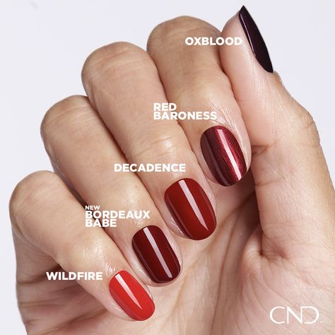 We've got enough reds to own the category, wouldn't you agree? 😉 Introducing our new shade: Bordeaux Babe, a rich crimson red that lives between Decadence and Oxblood. Cnd Shellac Colors, Kiara Sky Gel Polish, Shellac Colors, Cnd Nails, Cat Eye Gel Polish, Glitter Gel Polish, Zoya Nail, Gel Couture, Zoya Nail Polish