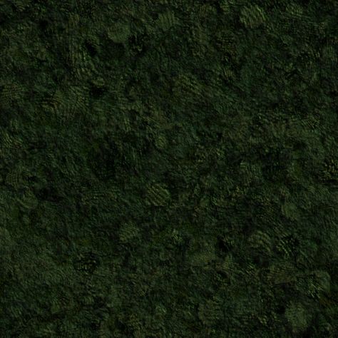 Jungle Floor, Dragon Age Inquisition, Dragon Age, Concept Store, Storytelling, Texture, Pins, Color, Nature