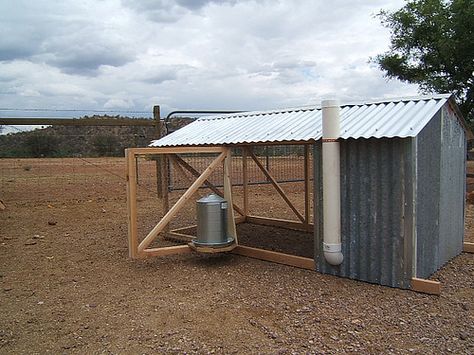 Sheet Metal Chicken Coop Tractor, Quail Pen, Chicken Enclosure, Best Egg Laying Chickens, Egg Laying Chickens, Backyard Chicken Coop Plans, Chicken Tractors, Chicken Owner, Chicken Feeders