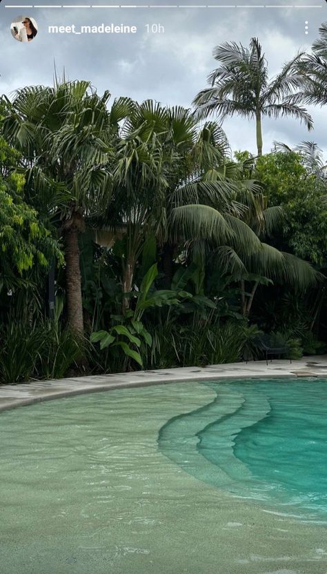 Ladder With Plants, Port Aventura, Vacation Board, Hidden Pool, Pool Plants, Pool Ladder, Pool Steps, Desert Photography, Plants Nature