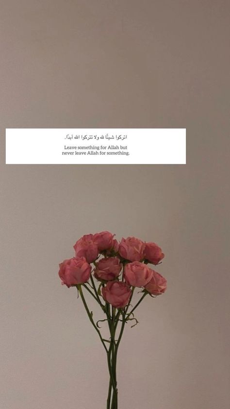 Duniya Is Nothing But A Beautiful Lie Wallpaper, Duniya Is Nothing But A Beautiful Lie, Islamic Affirmations, Quran Lessons, A Beautiful Lie, Anime Haircut, Al Qur'an Aesthetic, Disney Princess Characters, Easy Mandala Drawing