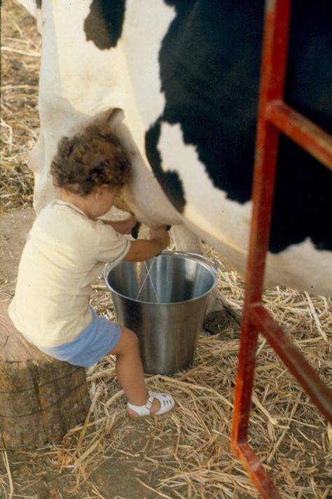 <3 Milking A Cow, Farm Kids, Farm Photography, Country Kids, Dairy Farm, Farms Living, Dairy Farms, Down On The Farm, A Cow