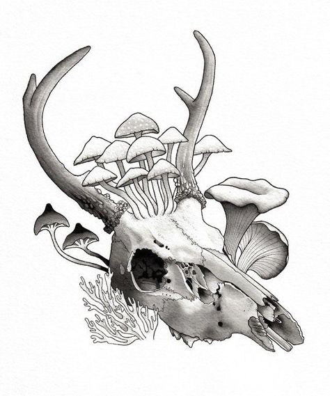 Deer Skull Drawing, Drawing Side View, Animal Skull Drawing, Stag Skull, Deer Skull Tattoos, Deer Skull Art, Deer Drawing, Skeleton Drawings, Animal Skeletons