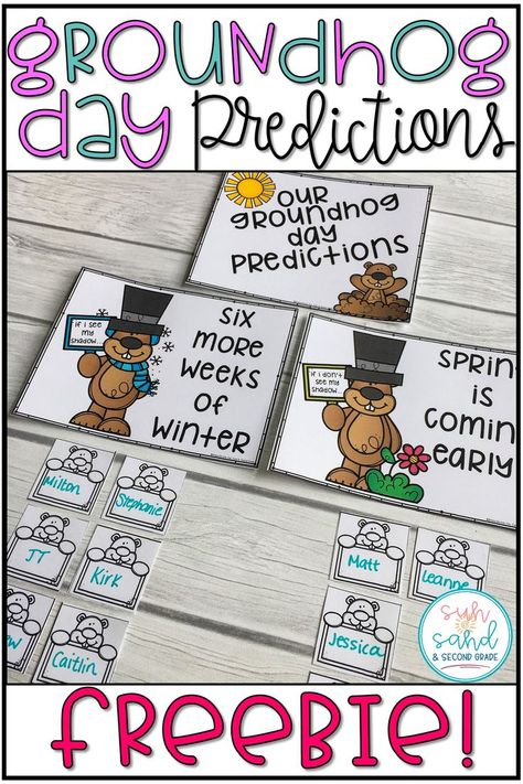 Groundhog Prediction Preschool, Groundhog Science Preschool, Preschool Groundhog Day Activities, Kindergarten Groundhog Day, Groundhog Activities, Preschool Groundhog, Predicting Activities, Kindergarten February, Groundhog Day Activities