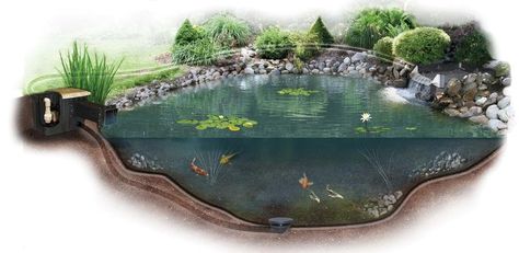 Pond Building & Kits Recreational Pond, Small Fish Pond, Solar Pond, Swimming Ponds, Pond Kits, Diy Pond, Small Pond, Pond Ideas, Mini Led Lights