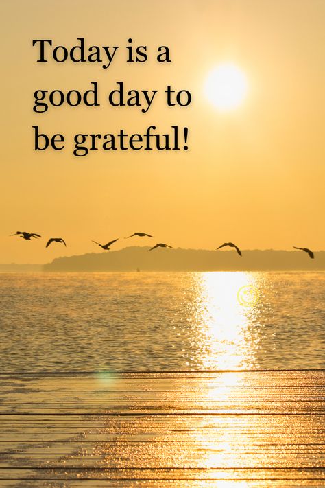 Today is a good day to be grateful! Today Was A Good Day Quotes, All Things Work Together For Good, Have A Great Day Quotes, Have A Good Day Quotes, Great Day Quotes, Weekly Quotes, Today Is A Great Day, Great Day, Perfect Quotes