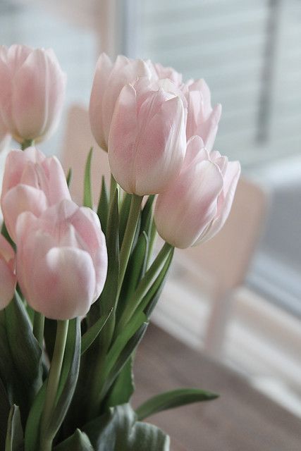 Pink Tulips, Pink Flowers, Tulips, Vase, Flowers, Pink