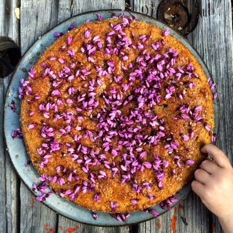 A Recipe to Celebrate Beltane/May Day: Olive Oil & Almond Cake w/Redbud Syrup | The Medicine Circle on Patreon Moon Food, Botanical Kitchen, Honey Cake Recipe, Circle Cake, Spring Recipe, Lovely Cake, Honey Cake, Flower Food, Almond Cakes