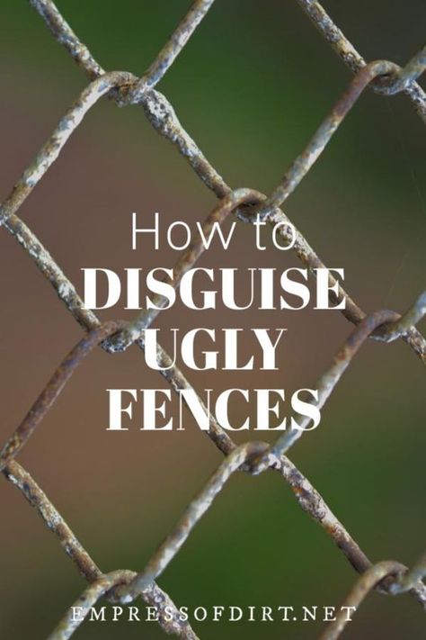 How to hide ugly chainlink fence and other tips to improve privacy in your backyard. #fencing #gardenideas #backyardideas #empressofdirt Living Fence Ideas, Cyclone Fence, Cheap Privacy Fence, Chain Fence, Diy Backyard Fence, Diy Privacy Fence, Privacy Fence Screen, Hiding Ugly, Diy Garden Fence