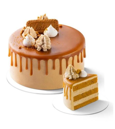 Lotus Cake Design, Lotus Ice Cream, Caramel Cake Decoration, Lotus Cake, Biscoff Cheesecake, Cake House, Ice Cake, Lotus Biscoff, Classy Quotes