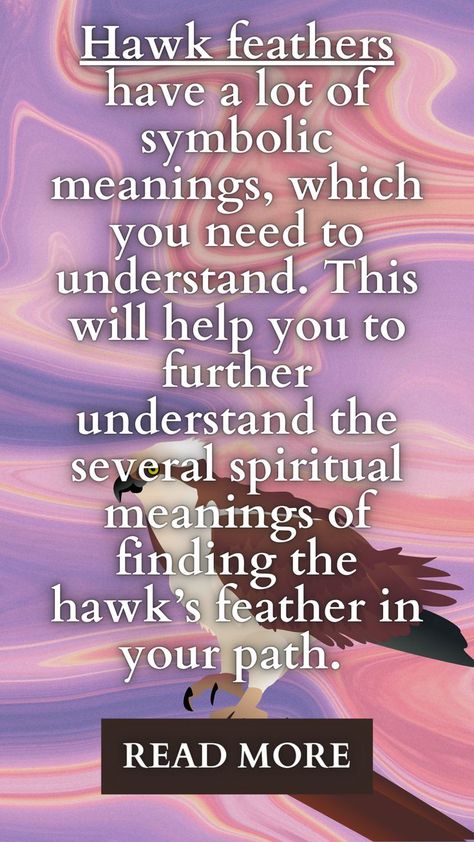 Hawk Feather Meaning, Red Tail Hawk Feathers, Hawk Feather, Feather Symbolism, Feather Meaning, Hawk Feathers, Spirit Animal Meaning, Animal Meanings, Spiritual World