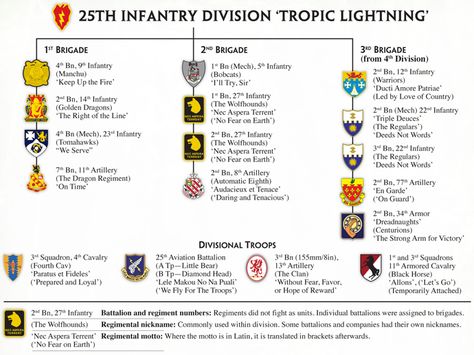 25th Infantry Division Tropic Lightning Vietnam War. 25th Infantry Division Vietnam, 25th Infantry Division, Us Army Patches, History Infographic, Military Ranks, Army Patches, Army Infantry, Military Units, South Vietnam