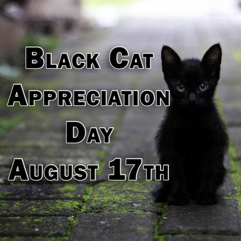 Happy Black Cat, National Black Cat Day, Black Cat Day, Black Cat Appreciation Day, 17 August, Happy Black, Indoor Pets, Animal Advocacy, Black Kitten