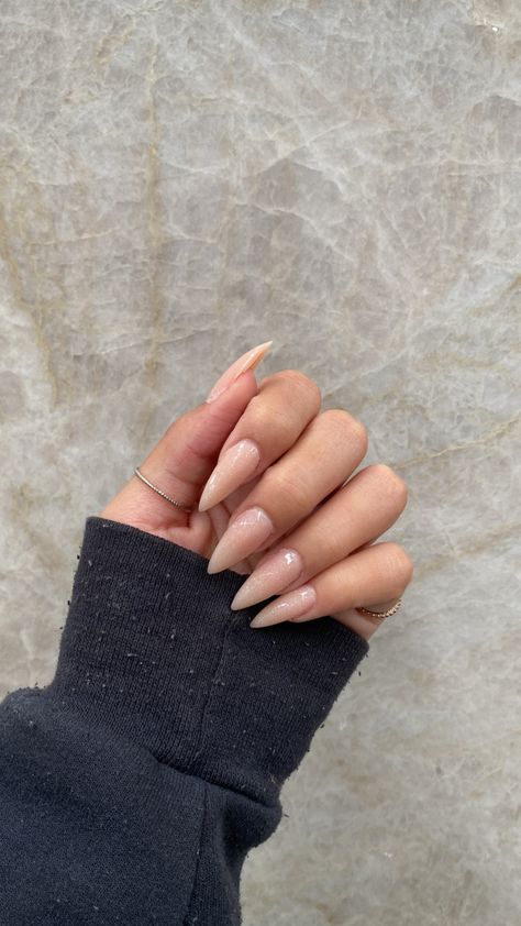 Fall Stelito Nails, Nude Stiletto Nail Designs, Stiletto Nude Nails, Stelito Nails, Nude Stiletto Nails, Nails 23, Pointy Nails, Subtle Nails, Stiletto Nails Designs