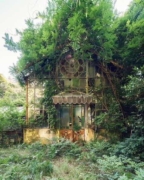 Witchy Cottage, Victorian Greenhouses, Forest Path, Abandoned Houses, Pretty House, Nature Aesthetic, Pretty Places, Green Aesthetic, Fantasy Landscape