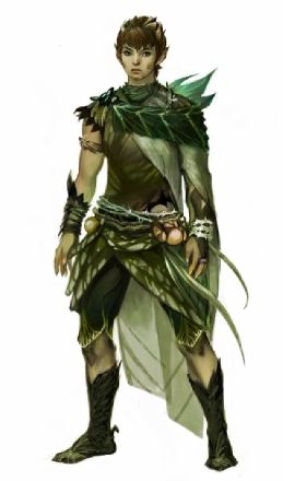 Dryad Costume Male, Woodland Costumes, Male Dryad, Dryad Costume, Wood Elves, Arcane Trickster, Elf Druid, Fantasy Role Playing, Wood Elf