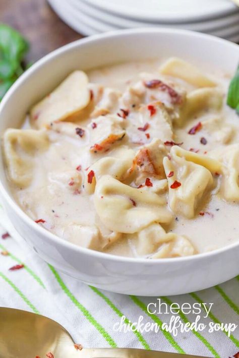 One of everyone's most favorite dinner recipes made in soup form - this Easy Chicken Alfredo Soup is full of flavor, chicken, tortellini and more! Lil Luna Recipes, Chicken Alfredo Soup Recipe, Chicken Alfredo Soup, Alfredo Soup, Chicken Florentine Soup, Easy Chicken Alfredo, Healthy Chicken Tortilla Soup, Winter Soup Recipes, Parmesan Soup