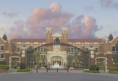 Aesthetic Private School Building, Luxury School Exterior, Aesthetic Schools Exterior, Front Of School Building, School Gate Aesthetic, Pretty School Building, Korean Highschool Buildings, Fancy School Building, Anime University