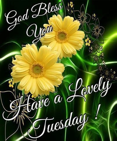 God Bless You Have a Lovely Tuesday days of the week tuesday happy tuesday tuesday greeting tuesday quote tuesday blessings good morning tuesday Happy Tuesday Pictures, Blessed Tuesday, Happy Tuesday Morning, Tuesday Pictures, Tuesday Greetings, Tuesday Quotes Good Morning, Tuesday Images, Week Blessings, Tuesday Blessings