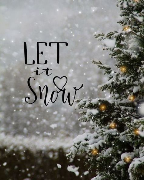 Winter Girl on Instagram: “Let It Snow 🌨❄🌨❄🌨❄ #christmastree🎄 #christmasdecoration🎄 #christmasvibes🎄 #christmaseve🎄 #christmasday🎄 #christmas🎄 #decoration…” Christmas Instagram Pictures, Wallpaper Winter, Picture Tree, Christmas Wallpaper Backgrounds, Christmas Aesthetic Wallpaper, Winter Girl, Christmas Phone Wallpaper, Cute Christmas Wallpaper, Winter Background