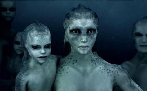 mer folk | For Kayla Mermaids The Body Found, Mermaid Found, Giant People, Real Life Mermaids, Alien Ship, Arte Alien, Real Mermaids, Mermaid Pictures, Aliens And Ufos