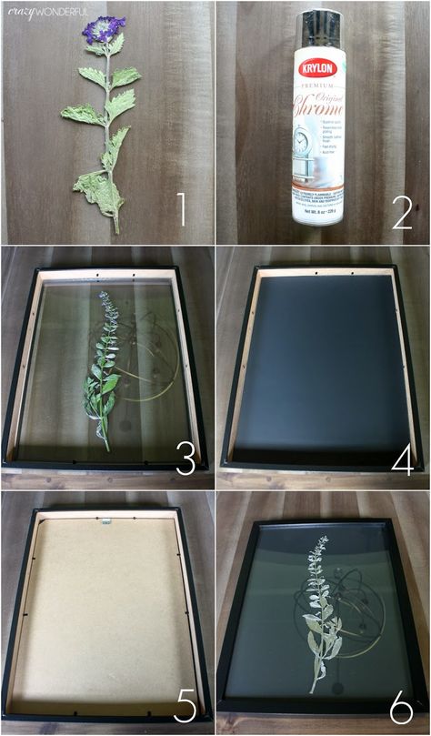 pressed botanical | tutorial - Crazy Wonderful Botanical Gallery Wall, Pressed Botanicals, Pressed Flower Crafts, Flowers Pretty, Fleurs Diy, Pinterest Diy, Pressed Flower Art, Cadeau Diy, Paper Towels