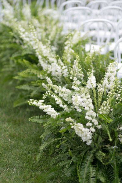 Ferns: http://www.stylemepretty.com/2015/07/29/30-details-for-an-organic-naturally-elegant-wedding/ Ferns Wedding, Wedding Aisles, Wedding Ceremony Chairs, Fern Wedding, Wedding Ceremony Ideas, Ceremony Chairs, Aisle Flowers, Wedding Ceremony Flowers, Organic Wedding