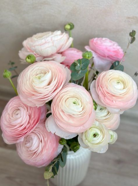 Persian Buttercup Bouquet, Persian Buttercup Flower, Persian Buttercup, Buttercup Flower, Boquette Flowers, Baby Pink Aesthetic, Garden Greenhouse, Flower Therapy, Paper Flower Tutorial