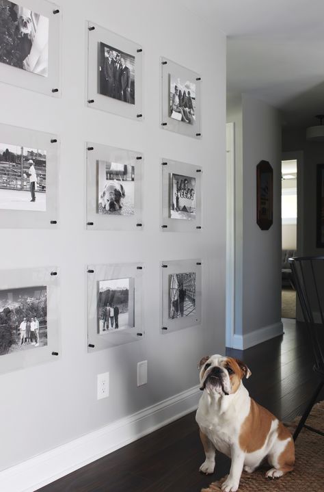 Acrylic Frame Gallery Wall, Frame Wall Design, Gallery Frame Wall, Ideas For Family Photos, Wall Frame Design, Frame Gallery Wall, Floating Acrylic Frame, Floating Frames, Gallery Wall Inspiration