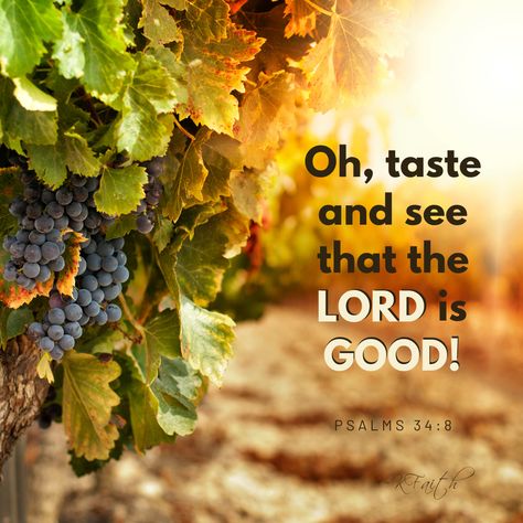 The Goodness Of The Lord, Taste And See The Goodness Of The Lord, O Taste And See That The Lord Is Good, Taste And See The Lord Is Good, Taste And See That The Lord Is Good, Bible Verses About Prayer, I Am The Door, O Taste And See, Taste And See