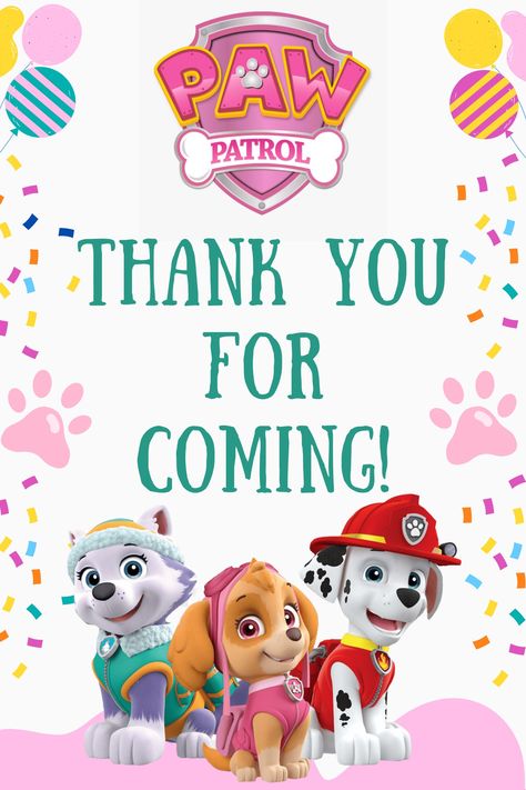 Paw Patrol Party Signs, Paw Patrol 2nd Birthday Girl, Pink Paw Patrol Party Ideas, Paw Patrol 3rd Birthday Party Girl, Paw Patrol Party Ideas Girl, Paw Patrol Girl Party, Paw Patrol Goodie Bags, Paw Patrol Party Food, Girl Paw Patrol Party