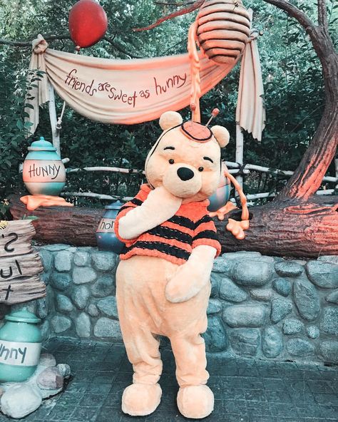 A hunny bee. 🎃🐝 Whinney Pooh Aesthetic, Rabbit Winnie The Pooh Aesthetic, Winnie The Pooh Disneyland, Pooh Corner Disneyland, Winnie The Pooh Movie Scenes, Disney World Aesthetic, Disneyland Halloween, Cute Winnie The Pooh, Cute Disney Pictures