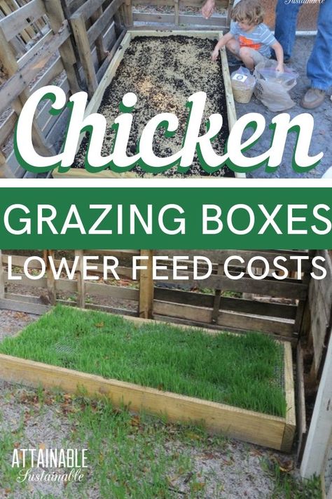 Chicken Grazing Boxes, Grazing Boxes, Cute Chicken Coops, Chicken Coop Garden, Backyard Chicken Coop Plans, Diy Chicken Coop Plans, Chicken Feeders, Chicken Farming, Backyard Chicken Farming