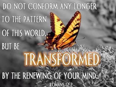 Romans 12:2  Do not be conformed.... Tb Joshua, Romans 12 1, Do Not Conform, Quotes Dream, Romans 12, Scripture Verses, Look At You, Transform Your Life, A Butterfly