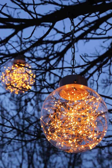 Firefly Series - Attraction Lights Fire Fly Lights, Tree Light Decoration, Garden Tree Lighting Ideas, Hanging Tree Lights Outdoor, Firefly Solar Lights, Hanging Garden Lights, Outdoor Lights In Trees, Solar Tree Lights Outdoor, Solar Lights In Trees