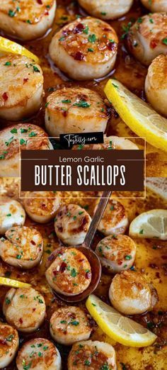 10-Minute Lemon Garlic Butter Scallops – Tastilly Garlic Butter Scallops, Scallop Recipes Healthy, Butter Scallops, Seafood Dish Recipes, Baked Scallops, Fagioli Soup, Fish Ideas, Fish Dinner Recipes, Sunday Dinners