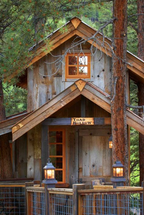 Get Away From it All With These Treehouses - Colorado Homes & Lifestyles Treehouse Homes, Adult Tree House, Treehouse Living, Luxury Tree Houses, Beautiful Tree Houses, Treehouse Cabins, Tree House Plans, Tree House Diy, Little Cottages