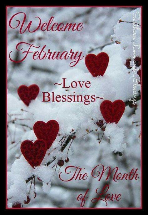 Month Of Love February, February Birthday Quotes, New Month Greetings, February Images, Hello February Quotes, New Month Wishes, Welcome February, February Hearts, Arthur Rubinstein