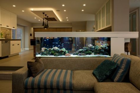 16 Truly Amazing Interiors With Fascinating Aquarium Aquarium Wall, Wall Dividers, Wall Aquarium, Custom Aquarium, Amazing Aquariums, Fish Tank Design, Aquarium Terrarium, Home Aquarium, Aquarium Design