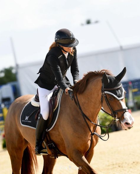 Dressage Horses Photography, Equestrian Show Jumping, Hunter Jumper Horses, Horsey Life, Equestrian Outfit, Horse Competition, Show Jumping Horses, Cute Horse Pictures, Equestrian Aesthetic