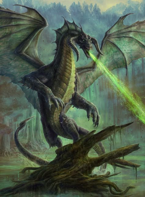 Tiamat Dragon, Dragon Wyvern, Mtg Art, Dnd Dragons, Dungeons And Dragons Game, Fantasy Creature, Forgotten Realms, Dnd Monsters, Dragon Pictures