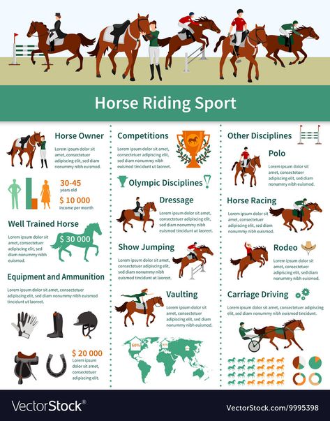 Horse Riding School, Luxury Horse, Horseback Riding Tips, Horse Braiding, Flat Layout, Healthy Horses, Carriage Driving, Horse Info, Horse Riding Tips