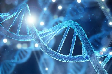 New Study: Evolution of Uniquely Human DNA Was a Delicate Balancing Act Human Dna, Dna Sequence, Early Humans, Gene Expression, Molecular Structure, Cell Biology, Cellular Level, Cold Case, Dna Test