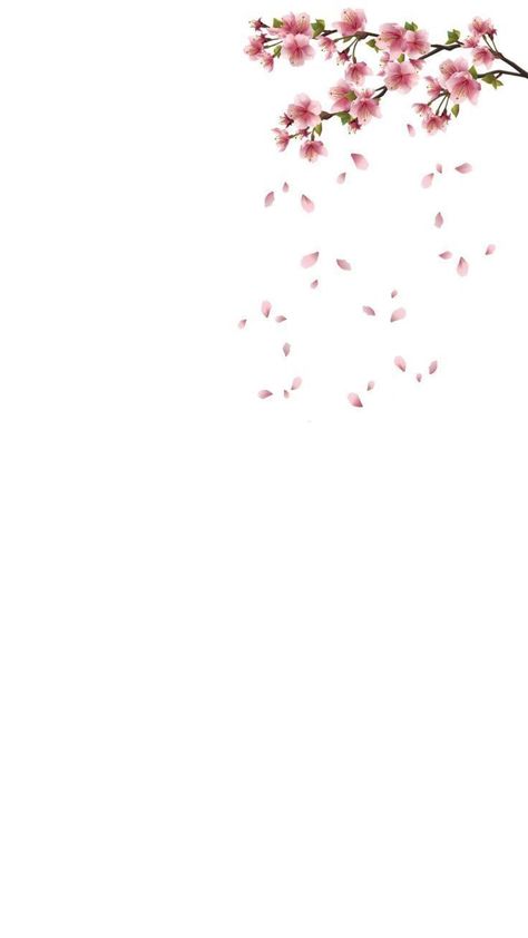 Kids Background, Flower Background Wallpaper, Wallpaper For Your Phone, Flower Phone Wallpaper, Minimalist Wallpaper, Tumblr Wallpaper, Iphone Background Wallpaper, Simple Wallpapers, Flower Backgrounds