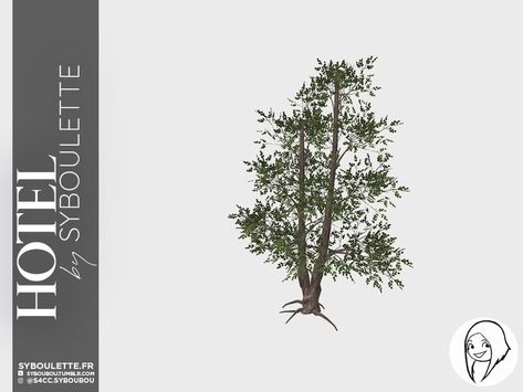 Sims4 Tree Cc, Tree Cc Sims 4, Trees Sims 4 Cc, Sims 4 Cc Trees And Plants, Sims 4 Outdoor Plants Cc, Sims 4 Cc Outdoor Plants, Sims 4 Trees, Sims 4 Trees Cc, Sims 4 Cc Garden