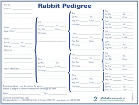 Example of a blank rabbit pedigree chart compliments of Pen Pals Rabbit Feeds Rabbit Pedigree, Rabbit Breeding, Rabbit Feeding, Pet Rabbit Care, Lionhead Rabbit, Rabbit Farm, Guinea Pig Food, Chart Tool, Meat Rabbits